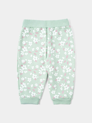 PJS25WLNA43150MO1